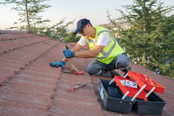 Best Roof Replacement Cost  in Romulus, MI